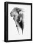 Artistic Black And White Elephant-Donvanstaden-Framed Poster