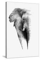 Artistic Black And White Elephant-Donvanstaden-Stretched Canvas