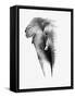 Artistic Black And White Elephant-Donvanstaden-Framed Stretched Canvas