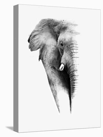 Artistic Black And White Elephant-Donvanstaden-Stretched Canvas