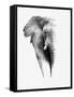 Artistic Black And White Elephant-Donvanstaden-Framed Stretched Canvas