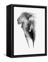 Artistic Black And White Elephant-Donvanstaden-Framed Stretched Canvas