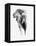 Artistic Black And White Elephant-Donvanstaden-Framed Stretched Canvas