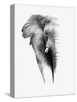 Artistic Black And White Elephant-Donvanstaden-Stretched Canvas