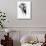 Artistic Black And White Elephant-Donvanstaden-Premium Giclee Print displayed on a wall