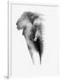 Artistic Black And White Elephant-Donvanstaden-Framed Premium Giclee Print