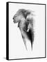 Artistic Black And White Elephant-Donvanstaden-Framed Stretched Canvas