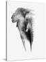 Artistic Black And White Elephant-Donvanstaden-Stretched Canvas