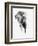 Artistic Black And White Elephant-Donvanstaden-Framed Art Print