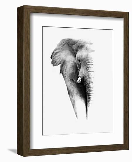 Artistic Black And White Elephant-Donvanstaden-Framed Art Print