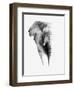 Artistic Black And White Elephant-Donvanstaden-Framed Art Print