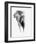 Artistic Black And White Elephant-Donvanstaden-Framed Art Print