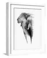 Artistic Black And White Elephant-Donvanstaden-Framed Art Print