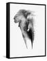 Artistic Black And White Elephant-Donvanstaden-Framed Stretched Canvas