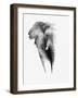 Artistic Black And White Elephant-Donvanstaden-Framed Art Print