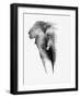 Artistic Black And White Elephant-Donvanstaden-Framed Art Print