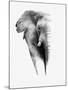 Artistic Black And White Elephant-Donvanstaden-Mounted Art Print