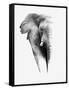 Artistic Black And White Elephant-Donvanstaden-Framed Stretched Canvas