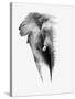 Artistic Black And White Elephant-Donvanstaden-Stretched Canvas