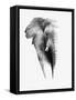 Artistic Black And White Elephant-Donvanstaden-Framed Stretched Canvas