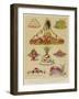 Artistic Dessert Dishes-null-Framed Giclee Print