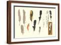 Brown Frame