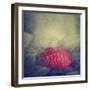 Artistic Image of Red Umbrella Standing out from the Crowd-hitdelight-Framed Photographic Print