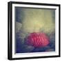 Artistic Image of Red Umbrella Standing out from the Crowd-hitdelight-Framed Photographic Print