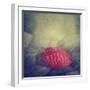 Artistic Image of Red Umbrella Standing out from the Crowd-hitdelight-Framed Photographic Print