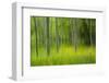 Artistic Impression of Foresta Umbra, Gargano Np, Gargano Peninsula, Apulia, Italy, April 2008-Müller-Framed Photographic Print