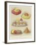 Artistic Jellies-null-Framed Giclee Print