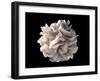 Artistic Rendering of the Surface of a Human Dendritic Cell-Stocktrek Images-Framed Art Print