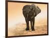 Artistic Rendition Elephant in Dust and Sunglow-Sheila Haddad-Framed Photographic Print