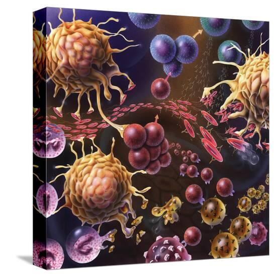 Stretched Canvas Print, , large