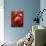 Artistic Still Life with Whole and Half Pomegranate-Dieter Heinemann-Photographic Print displayed on a wall