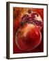 Artistic Still Life with Whole and Half Pomegranate-Dieter Heinemann-Framed Photographic Print