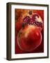 Artistic Still Life with Whole and Half Pomegranate-Dieter Heinemann-Framed Photographic Print