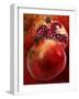 Artistic Still Life with Whole and Half Pomegranate-Dieter Heinemann-Framed Photographic Print