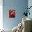 Artistic Still Life with Whole and Half Pomegranate-Dieter Heinemann-Mounted Photographic Print displayed on a wall