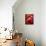 Artistic Still Life with Whole and Half Pomegranate-Dieter Heinemann-Mounted Photographic Print displayed on a wall