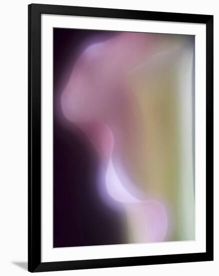 Artistic View of a Calla Lily in Fuquay Varina, North Carolina.-Melissa Southern-Framed Photographic Print