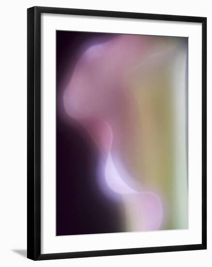 Artistic View of a Calla Lily in Fuquay Varina, North Carolina.-Melissa Southern-Framed Photographic Print