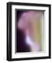 Artistic View of a Calla Lily in Fuquay Varina, North Carolina.-Melissa Southern-Framed Photographic Print