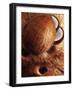 Artistically Arranged Still Life with Coconuts-Dieter Heinemann-Framed Photographic Print