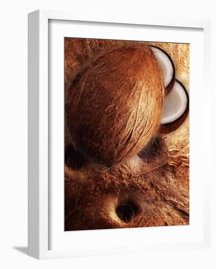 Artistically Arranged Still Life with Coconuts-Dieter Heinemann-Framed Photographic Print