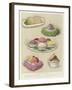 Artistically Served Ices-null-Framed Giclee Print