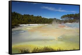 Artists Palette, Waiotapu Thermal Reserve, near Rotorua, North Island, New Zealand-David Wall-Framed Stretched Canvas