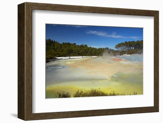 Artists Palette, Waiotapu Thermal Reserve, near Rotorua, North Island, New Zealand-David Wall-Framed Photographic Print