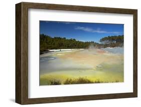 Artists Palette, Waiotapu Thermal Reserve, near Rotorua, North Island, New Zealand-David Wall-Framed Photographic Print