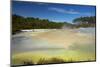 Artists Palette, Waiotapu Thermal Reserve, near Rotorua, North Island, New Zealand-David Wall-Mounted Photographic Print